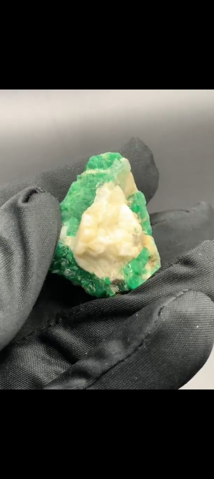 WhatsApp Image 2025-12-24 at 5.19.46 PM (1)