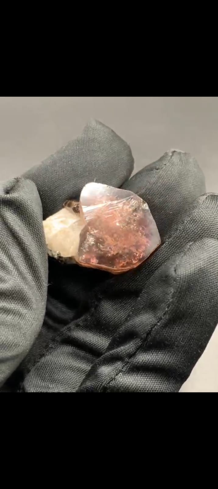 WhatsApp Image 2025-12-25 at 11.46.01 AM