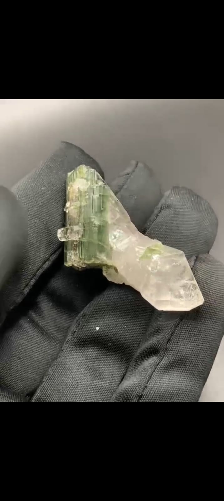 WhatsApp Image 2025-12-25 at 11.48.55 AM