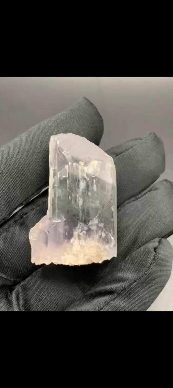 WhatsApp Image 2025-12-25 at 11.54.54 AM